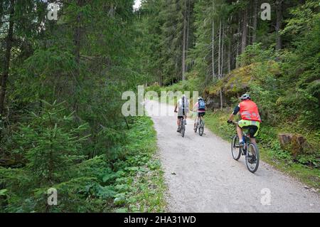 Mountainbiker fahren auf Schotterpiste im Wald, Fassatal, Trient, Trentino-Südtirol, Italien Stockfoto