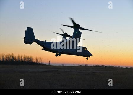 Ein Marine Corps MV-22 Osprey hebt mit Fallschirmjägern der US-Armee ab, die 1st Bataillons, 503rd Fallschirmjägern-Infanterie-Regiment, 173rd Luftbrigade während eines Luftangriffs auf Dandolo Range in Pordenone, Italien, zugewiesen wurden, 07. Dezember 2021. Dieses Training bestätigt, dass ein Zug das entscheidende Element für die Nord- und Westafrika-Einsatztruppe ist, eine Mission der US-Armee in Südeuropa, Afrika. Die 173rd Airborne Brigade ist die U.S. Army Contingency Response Force in Europa, die in der Lage ist, einsatzbereite Truppen überall in den Verantwortungsbereichen der US-amerikanischen Kommandos Europa, Afrika oder Central Commands zu projizieren Ar Stockfoto