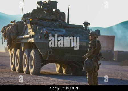 Ein Soldat der US-Armee, der 2nd Bataillon, 1st Infanterie-Regiment, 2nd Stryker Brigade Combat Team, 7th Infanterie Division, Bodenkips ein Stryker im National Training Center, Ft. Irwin. Das National Training Center ist ein wichtiger Ausbildungsbereich für das US-Militär, der sich auf die Ausbildung von Rotationseinheiten, gemeinsamen, agenturübergreifenden und multinationalen Partnern konzentriert, um die Bereitschaft zum Kampf und Sieg aufzubauen und aufrechtzuerhalten. (USA Armee-Foto von SPC. Dean Johnson) Stockfoto