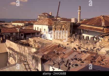 Blick auf die Altstadt von Stone Town auf der Insel Sansibar in Tansania. Tansania, Sansibar, Stone Town, Oktober 2004 Stockfoto