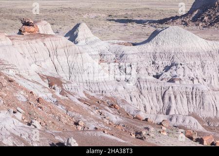 Versteinerter Wald-Nationalpark, Arizona Stockfoto