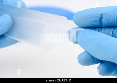 Wissenschaftler halten und biegen flexibles transparentes Dünnschichtmaterial im Labor. Konzept der Forschung für Material mit neuen Eigenschaften. Stockfoto