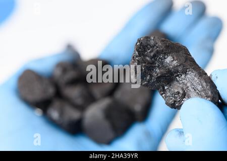 Kohleklumpen in der Hand des Wissenschaftlers und kleiner Haufen in anderen. Forschungskonzept für fossile Brennstoffe. Stockfoto