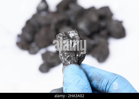 Kohleklumpen in der Hand des Wissenschaftlers. Laborkohlenanalyse, fossile Brennstoffe Forschung. Stockfoto