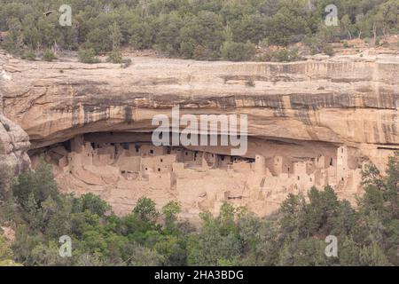 Colorado, Mesa Verde National Park Klippenwohnungen : Cliff Palace Stockfoto