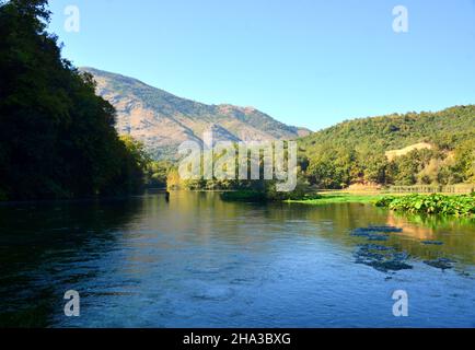 Syri i Kaltër ist eine Karstquelle, deren Tiefe noch unbekannt ist, versteckt inmitten eines dichten Waldes von Eichen und Platanen. Stockfoto