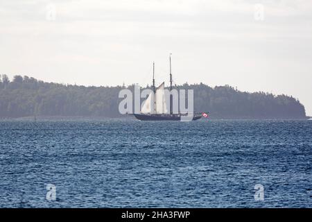 Die Bluenose II segelt im Hafen von Halifax in Nova Scotia, Kanada. Stockfoto