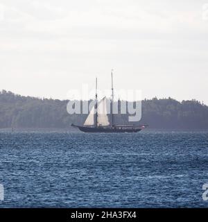 Die Bluenose II segelt im Hafen von Halifax in Nova Scotia, Kanada. Stockfoto