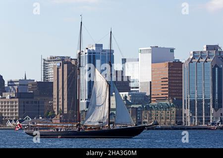 Bluenose II segelt im Hafen von Halifax, Nova Scotia, Kanada. Stockfoto