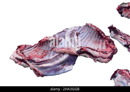 Hammelfleisch roh auf weißem Hintergrund Stockfoto