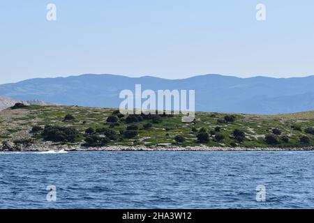 Segeln durch die kroatischen Inseln, Krk, Rab, Sveti grgur, Prvic. Adria, Kroatien, Balkan, Europa. Stockfoto