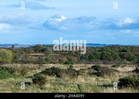 Blick über das Daisy Hill Nature Reserve im Herbst Stockfoto