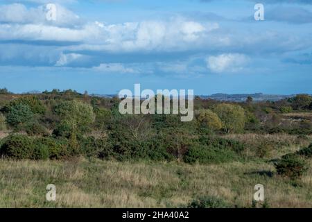 Blick über das Daisy Hill Nature Reserve im Herbst Stockfoto