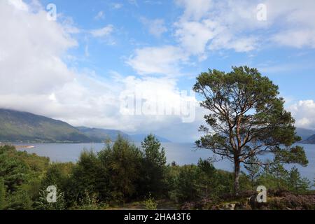 Norwegen - Sognefjord bei Nordrevik und Vadheim / Norwegen - Sognefjord bei Nordrevik und Vadheim / Stockfoto