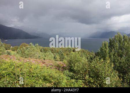 Norwegen - Sognefjord bei Nordrevik / Norwegen - Sognefjord bei Nordrevik / Stockfoto