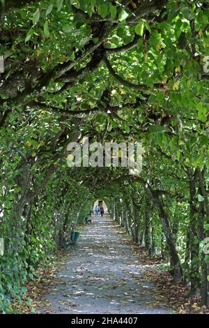 Arkade, Schloss Dachau, Oberbayern, Bayern, Deutschland Stockfoto