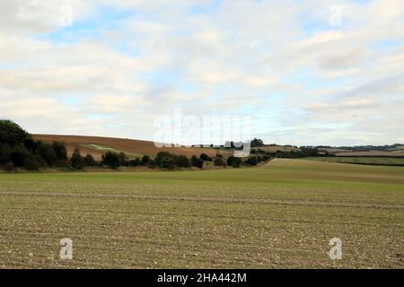 Blick über das Feld in der Nähe der Faversham Road in Richtung Kreide-Gedenkkreuz, Lenham in der Nähe von Maidstone, Kent, England, Großbritannien Stockfoto