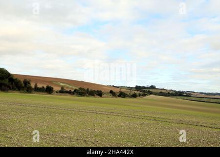 Blick über das Feld in der Nähe der Faversham Road in Richtung Kreide-Gedenkkreuz, Lenham in der Nähe von Maidstone, Kent, England, Großbritannien Stockfoto