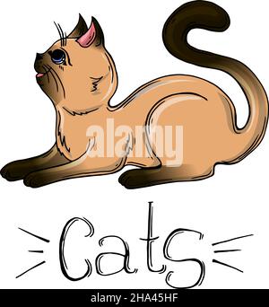 Vektor-Zeichnung einer siamesischen Katze. Cartoon-Katze Stock Vektor