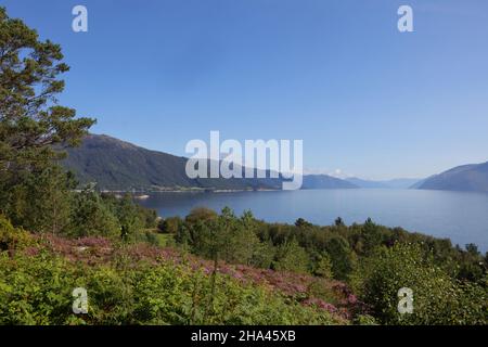 Norwegen - Sognefjord bei Nordrevik und Vadheim / Norwegen - Sognefjord bei Nordrevik und Vadheim / Stockfoto