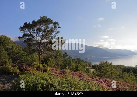 Norwegen - Sognefjord bei Nordrevik / Norwegen - Sognefjord bei Nordrevik / Stockfoto