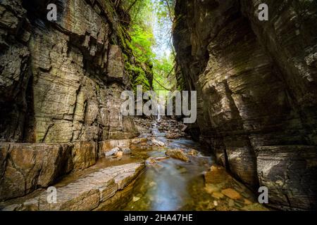 Schöner Wasserfall und Bach, tief im Canyon, in der Domaine du ruisseau creux, Bonaventure, Quebec, Kanada Stockfoto