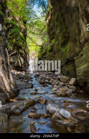 Schöner Wasserfall und Bach, tief im Canyon, in der Domaine du ruisseau creux, Bonaventure, Quebec, Kanada Stockfoto