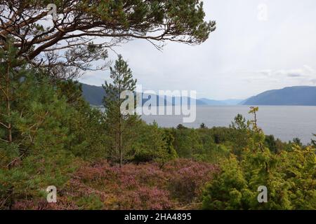 Norwegen - Sognefjord bei Nordrevik / Norwegen - Sognefjord bei Nordrevik / Stockfoto