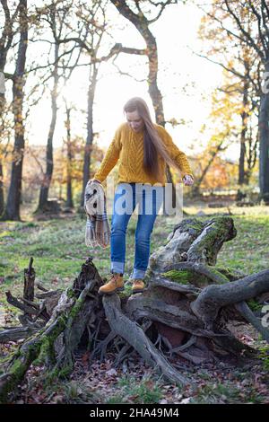 Junge europäische weiße Frau in gelbem Pullover im sonnigen Herbstwald an Baumwurzeln Stockfoto