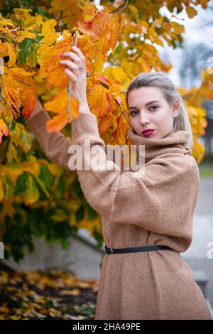 Europäische junge weiße Frau mit blonden Haaren zwischen gelben Herbstblättern in warmem beigefarbenem Kleid Stockfoto