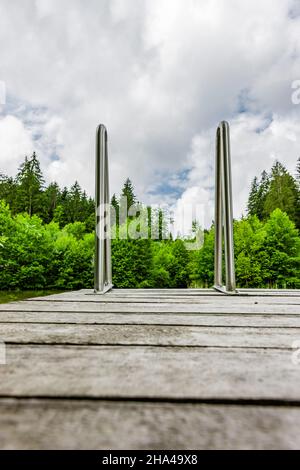 Badesteg an einem Waldsee Stockfoto