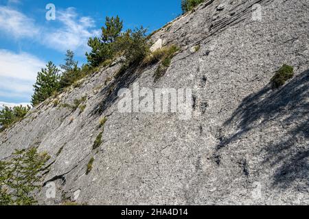 Dinosaurier-Fußabdrücke auf dem Felsen. Dinosaurierpfad in Rovereto. Rovereto, Trentino-Südtirol, Italien, Europa