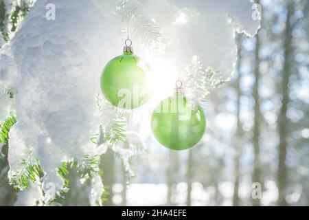 Grüne weihnachtskugeln auf einem schneebedeckten Kiefernzweig Stockfoto