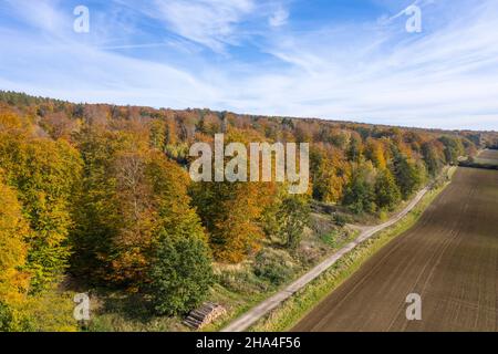 deutschland, niedersachsen, Ulme in der Nähe von Evessen, Luftaufnahme Stockfoto