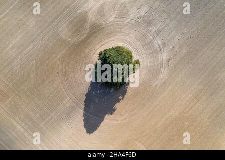 deutschland, niedersachsen, Landschaft in der Nähe von Evessen, Luftaufnahme Stockfoto
