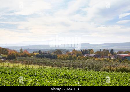 deutschland,niedersachsen,Landschaft bei Evessen,Blick auf den brocken im harz Stockfoto