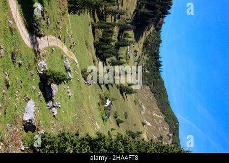 Weg zu den Almen unterhalb des geigelsteins (1808m),Naturschutzgebiet,aschau im chiemgau,oberbayern,bayern,deutschland Stockfoto