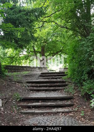 luitpoldpark, schwabing-Viertel, riesige Rasenflächen, üppige Bäume, ein Stück Natur mitten in der Stadt, vom luitpold-Hügel aus ein wunderbarer Blick auf die Stadt. Stockfoto