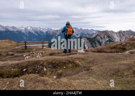 Auf dem Weg zur seefelder spitze blickt der Wanderer auf die alpen, seefeld, tirol, österreich Stockfoto