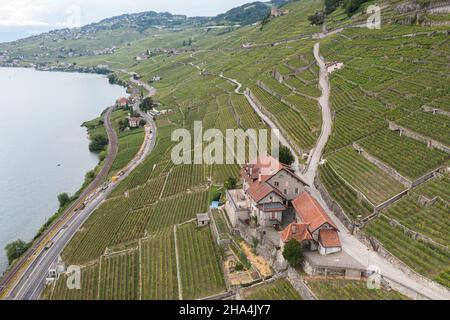 Weinbergterrassen aus der Luft Stockfoto