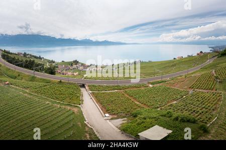 Panoramablick auf die Bahnlinie, die die Weinberge in der Nähe des Sees überquert Stockfoto