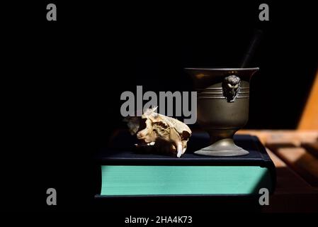 Ein knöcherner Rattenschädel und ein Metallmörtel auf einem Buch mit grünen Seiten, vor einem dunklen Hintergrund mit Platz für Text. Das Licht leuchtet von der Seite Stockfoto