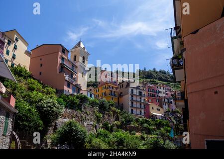 Schöne Aussicht auf manarola Stadt. Ist eines von fünf berühmten bunten Dörfern des nationalparks cinque terre in italien, zwischen Meer und Land auf steilen Klippen ausgesetzt. ligurien Region von italien. Stockfoto