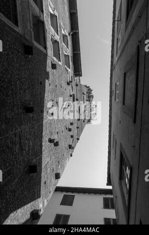 torre guinigi ist einer der wenigen noch verbliebenen Türme innerhalb der Stadtmauern von lucca, italien. Stockfoto