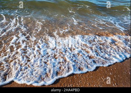 Nahaufnahme der Flutwassersurfen auf dem Sandstrand. Selektiver Fokus Stockfoto