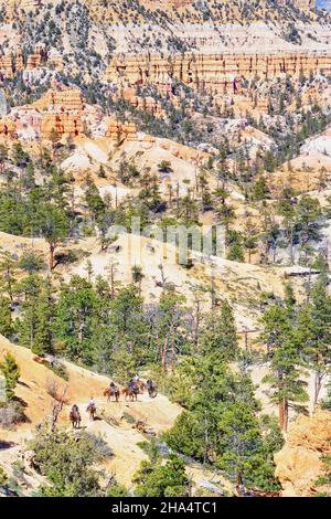 Reiter, bryce Canyon, bryce Canyon Nationalpark, utah, usa Stockfoto