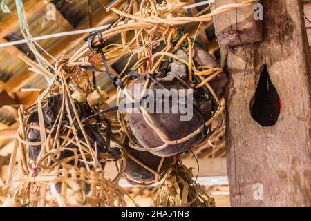 Menschliche Schädel in einem traditionellen Langhaus in der Nähe des Flusses Batang Rejang, Sarawak, Malaysia Stockfoto