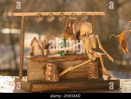 Rote Eichhörnchen und ein Skelett an einer Bar Stockfoto