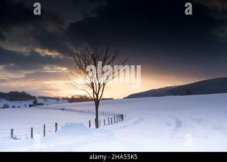 Leere Landschaft mit Schnee. Das Abendlicht taucht die Weite in leuchtende Farben. Aatal in Brilon. Stockfoto