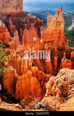 Paria View ist ein malerischer Aussichtspunkt mit Blick auf einen Canyon voller faszinierender und farbenfroher Hoodoos, den Bryce Canyon National Park, Utah Stockfoto